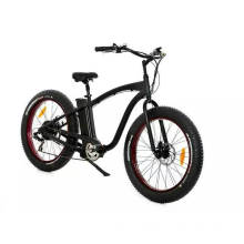 Import Green Power 48V 500W Big Tyre Electric Bicycle